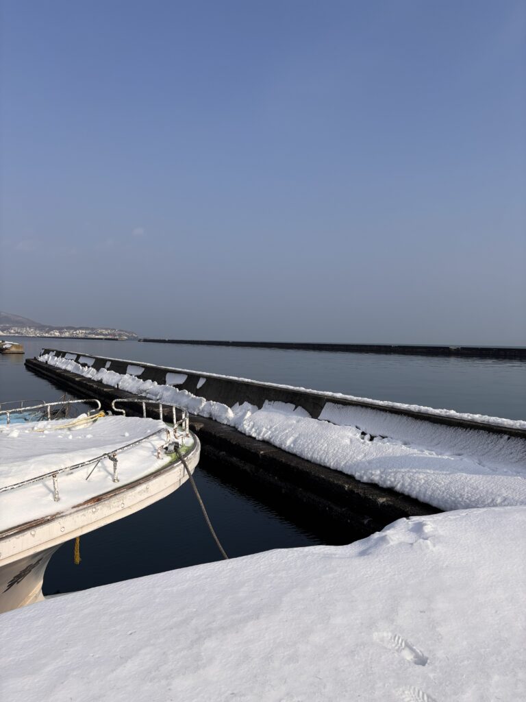 小樽港 若竹岸壁 ２０２６年2月２１日　 積雪状況