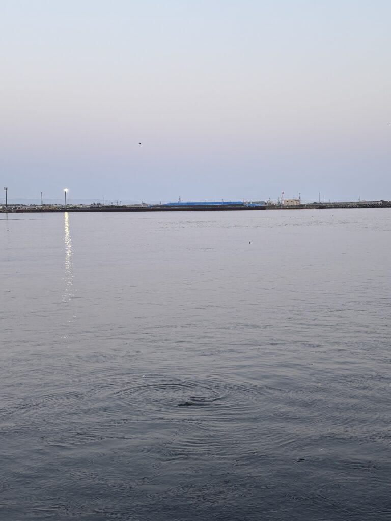 フェンス前　釣り場の様子