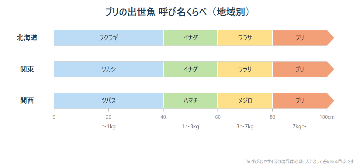北海道 関東 関西 ブリ 出世魚 呼び名 フクラギ イナダ ワラサ 早見表