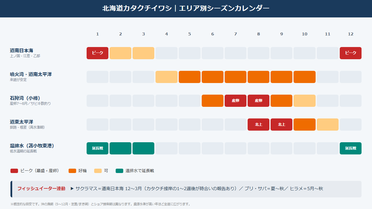 北海道 カタクチイワシ エリア別 シーズンカレンダー 接岸時期 2026
