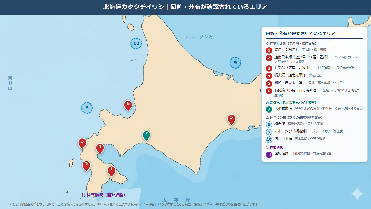 北海道 カタクチイワシ 回遊 分布 確認エリアマップ 釣り 2026年