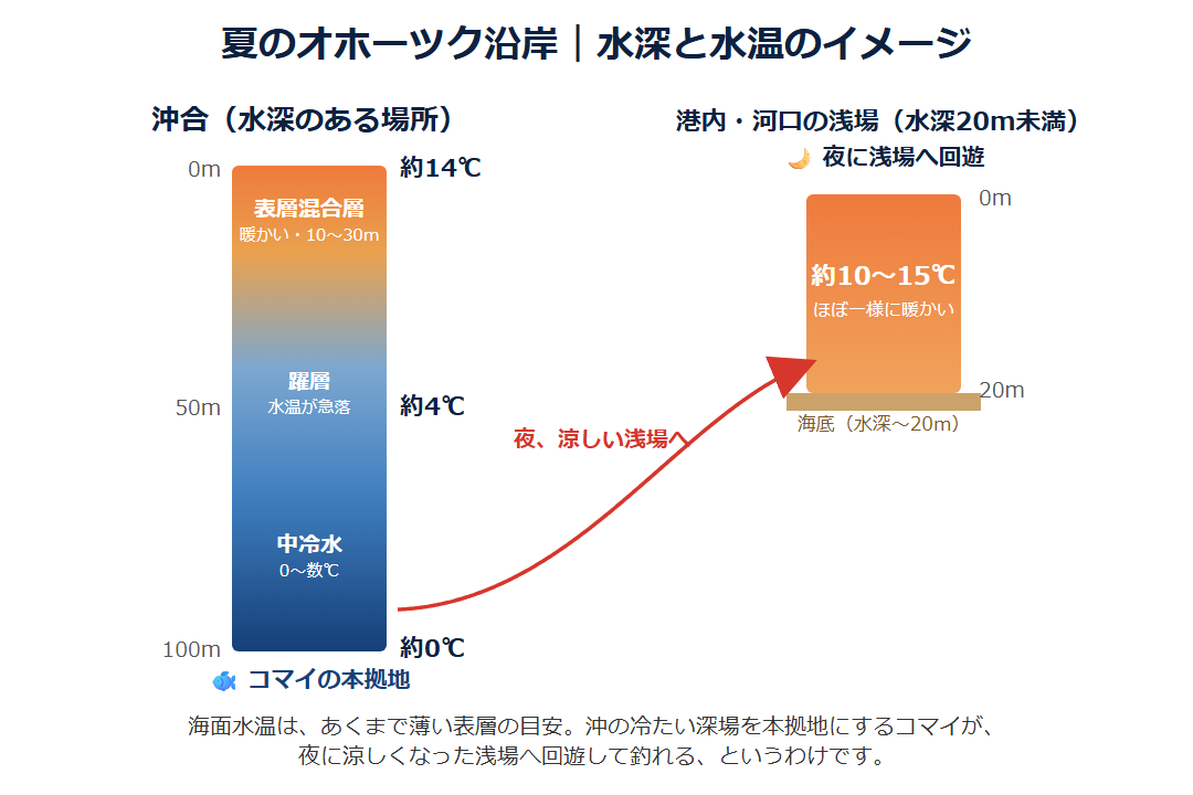 北海道 オホーツク 夏 コマイ 水深別水温 中冷水 生態イメージ図