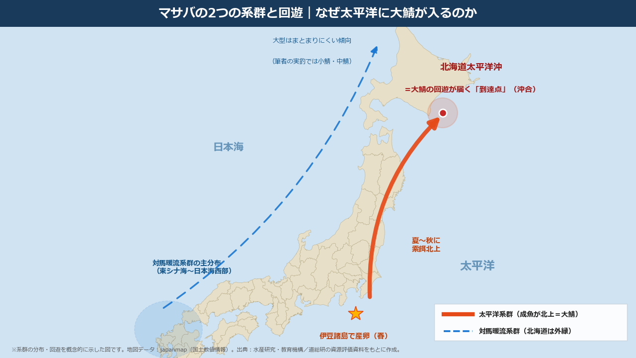 マサバ 系群 回遊 太平洋系群 対馬暖流系群 北海道太平洋沖 索餌回遊の到達点