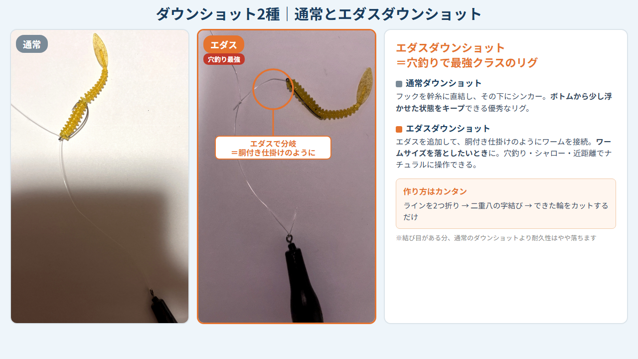 北海道 ロックフィッシュ エダスダウンショット 穴釣り 胴付き仕掛け ワーム ナチュラル操作